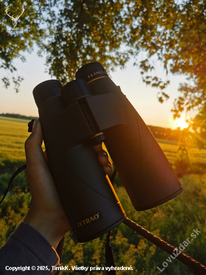 TETRAO Elanus 8x56 HD
