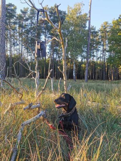 Podvečerná prechádzka