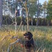 Podvečerná prechádzka