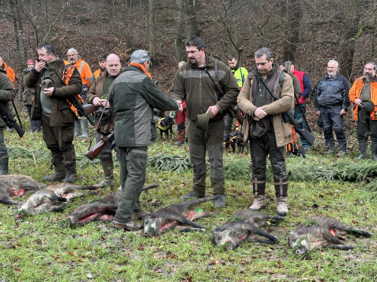 Naháňka Osvětimany 27. 11. 2025