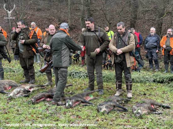 Naháňka Osvětimany 27. 11. 2025