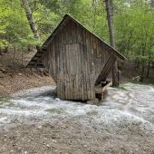 jarna udrzba sennika