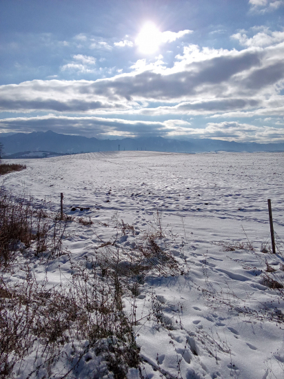 Z dnešnej prechádzky