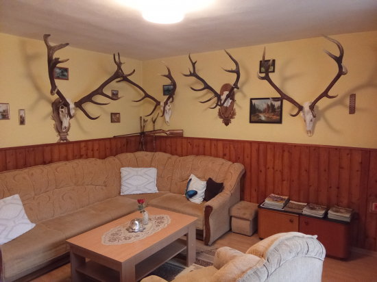 Najlepšie jelene u môjho zaťa