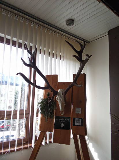 Najsilnejší na CHPT Liptovský Mikuláš 2024-2025