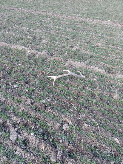 Šťastie sa usmialo aj na mňa