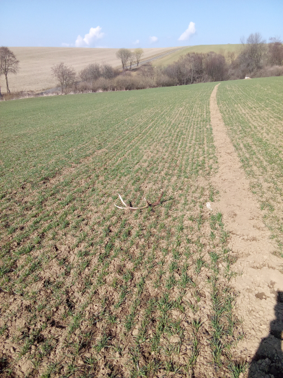 Pohľad ktorý vždy poteší