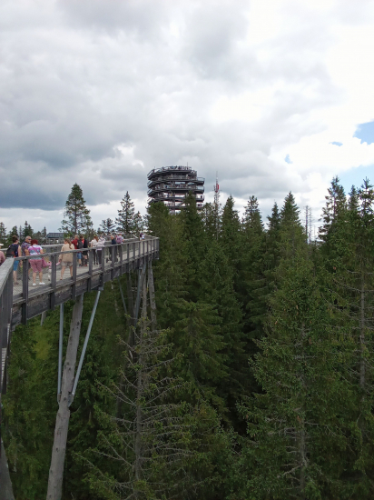 Krásna nedeľa v Bachledovej doline