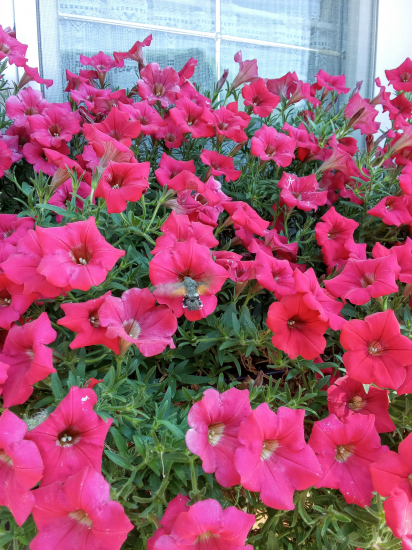 Prišiel sa posilniť.