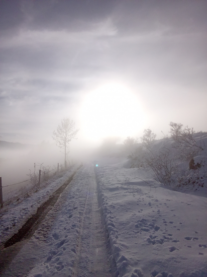 Zahmlenou cestičkou v ústrety slniečku