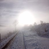 Zahmlenou cestičkou v ústrety slniečku