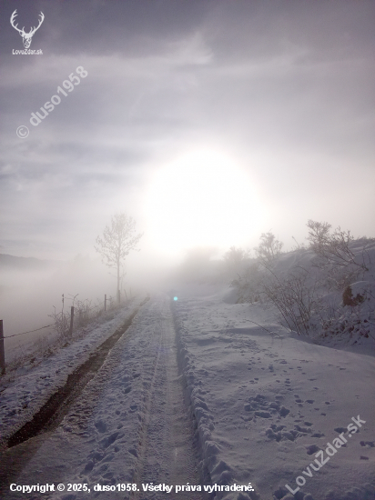 Zahmlenou cestičkou v ústrety slniečku