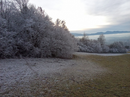 Z dnešnej túlačky