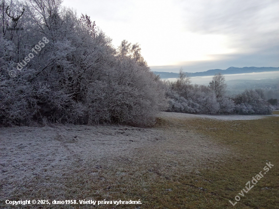 Z dnešnej túlačky