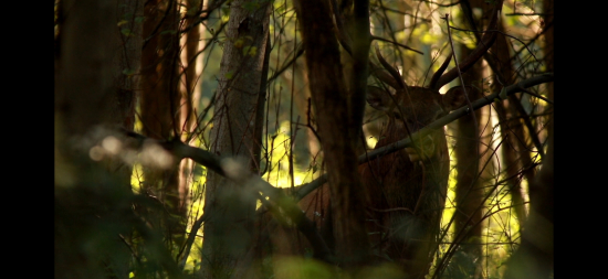 Po stopach vysokej..