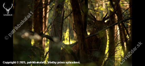 Po stopach vysokej..