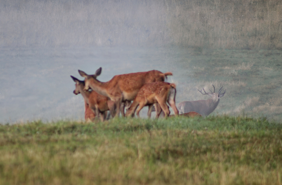 Moment keď sa zastaví dych