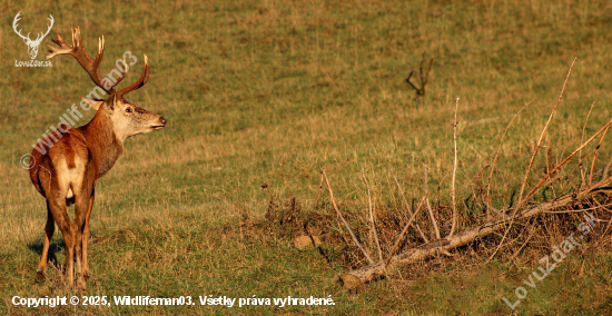 Schudnuty a unavený