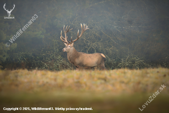 Je ťažké nebyť kráľom, keď príde chvíľa stať sa ním.