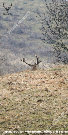 Veľa zo seba neukázal