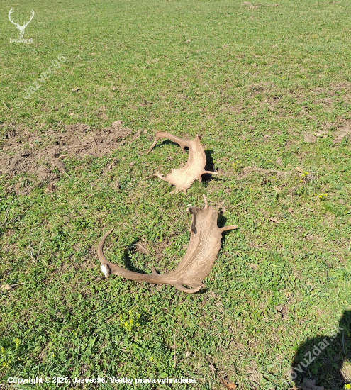 Spolu