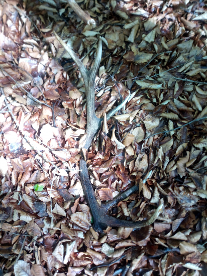 Minuloročný 10torak