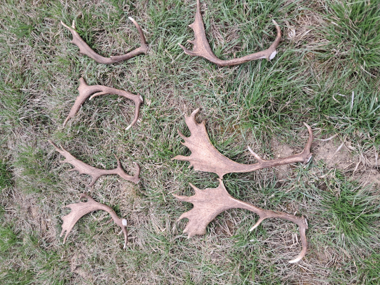 Prvé 3 páry v živote