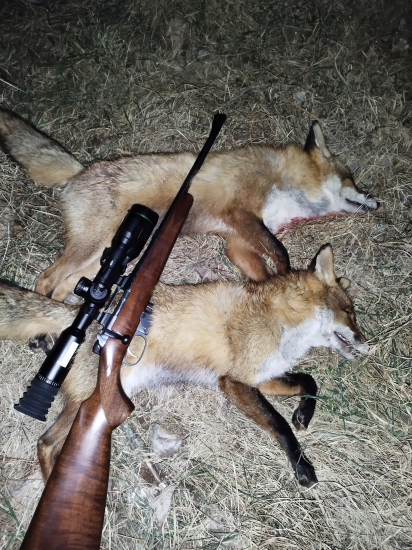 Krásny poľovnícky večer