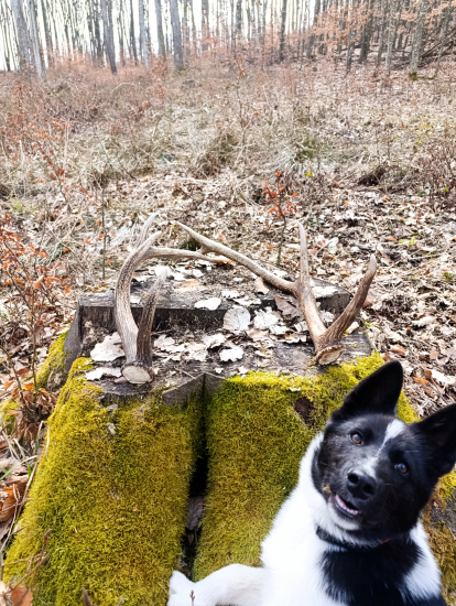 Konečne sa podarilo