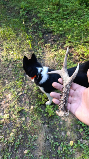 Odležaný a dozretý