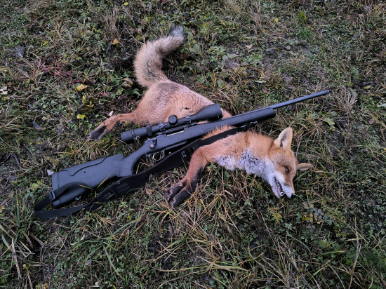 Dvanásta tohto roku