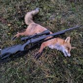 Dvanásta tohto roku