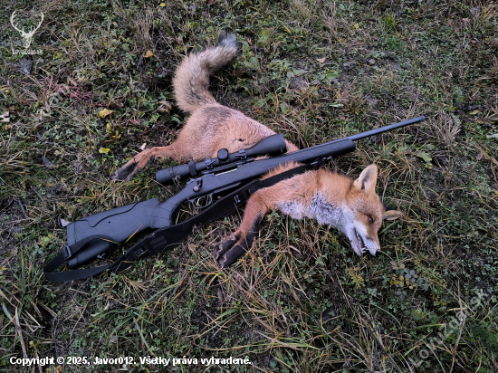 Dvanásta tohto roku