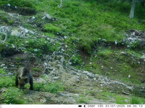 Prišiel sa ukázať