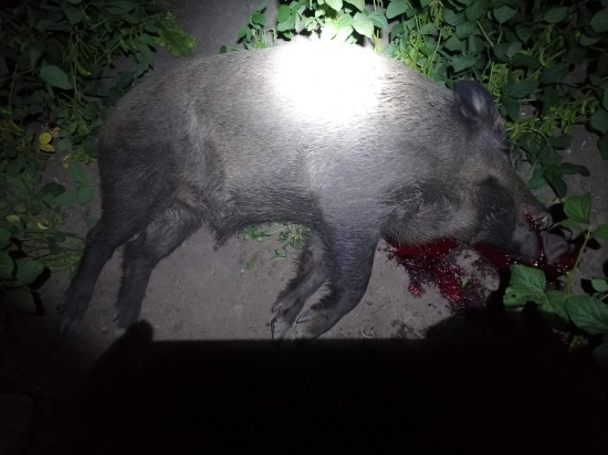 Priamy čelný zásah do krku