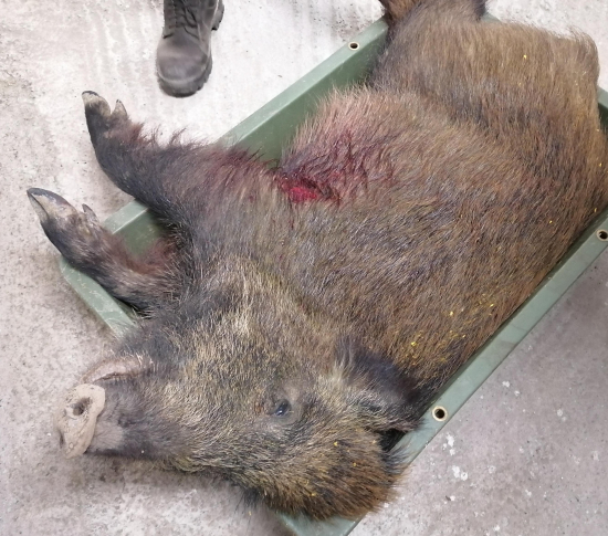 Vidíš, ako sa na teba usmieva