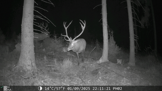 Titani pred súbojom?