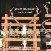 CHP Vranov n/T 2024/25 - najsilnejšie trofeje výstavy