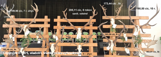 CHP Vranov n/T 2024/25 - najsilnejšie trofeje výstavy