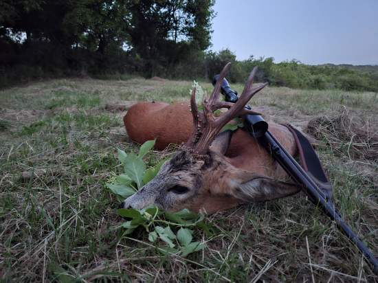 Oplatilo sa počkať