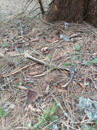 Dnešný 24 v sezóne