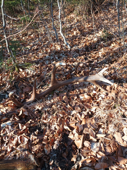 Dnešný štrnásťtorak