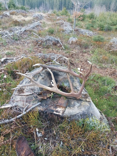 Dnešné  tam kde nik nechodí