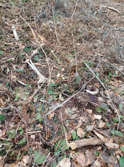 Dnešný rok na mňa čakal