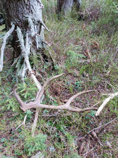 Ešte jeden zo včera