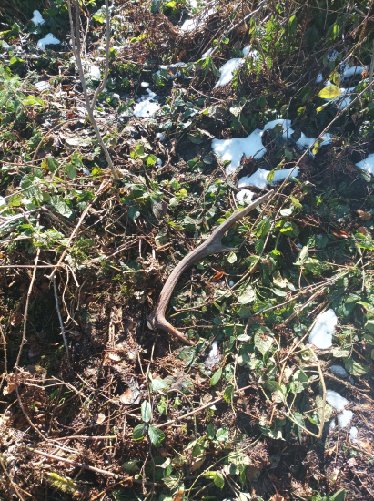 Ešte jeden zo včera