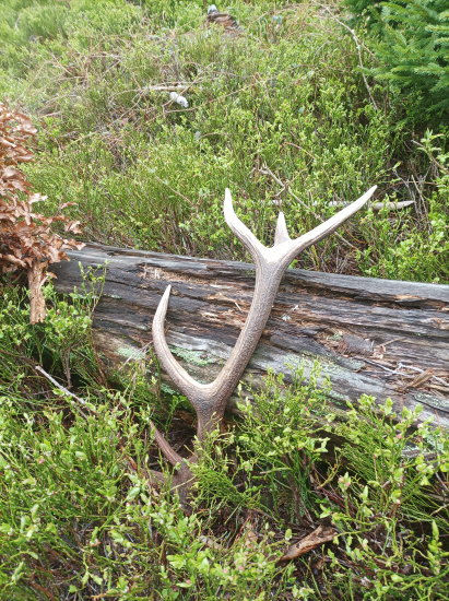 Ešte sa dá nájsť