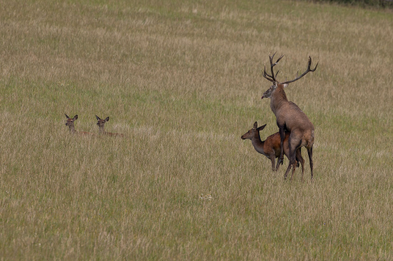 Potom radsej sa radsej otocili...