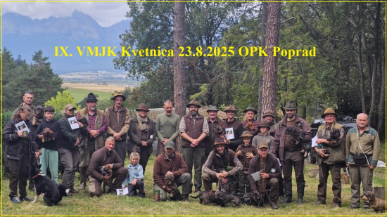 VMJK 2025