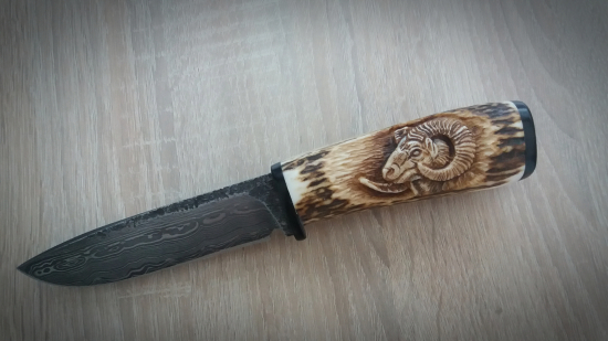 Damaškový s muflónom